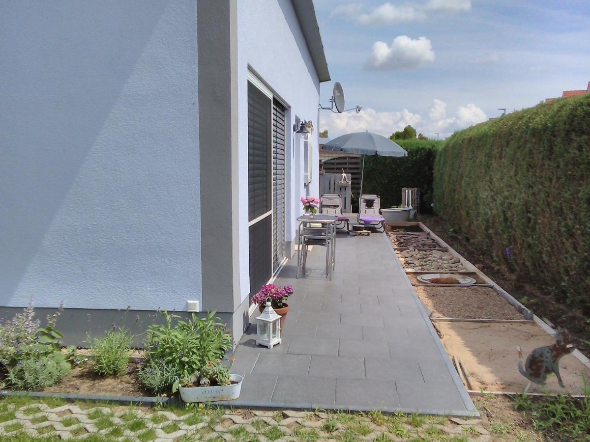 Das Kleine Lavendelhaus Kahl am Main Luaran gambar