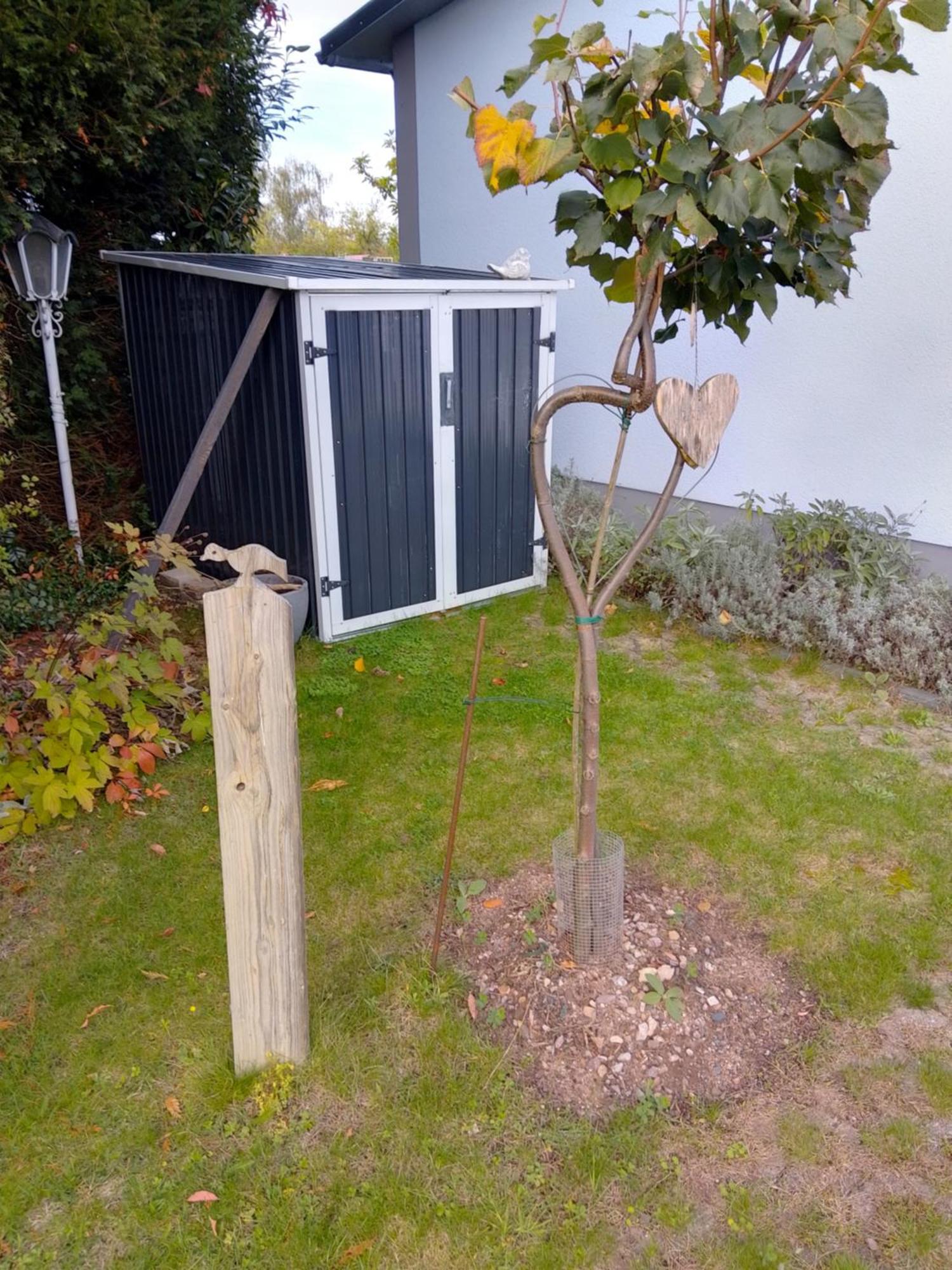 Das Kleine Lavendelhaus Kahl am Main Luaran gambar
